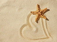 海边沙滩的海星背景图片