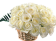 竹篮里的白玫瑰高清图片