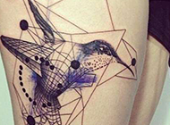 超具创意的蜂鸟腿部纹身图片