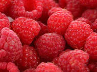 红色的树莓水果摄影图片