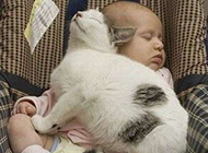 宝宝和猫一起睡觉的图片