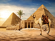 古埃及金字塔和骆驼自然风景壁纸