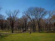 纽约中央公园秋天醉人风景图片