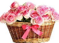 一篮子的粉玫瑰花束图片