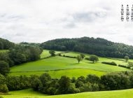 2015年10月日历清新绿色