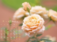 2016年1月日历唯美意境