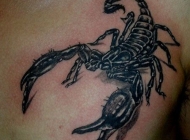 写实的黑色蝎子纹身图案