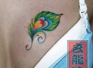 女孩子胸部好看的孔雀羽毛纹身图案