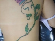 女生纹身藤蔓 女生性感腰部个性藤蔓纹身图片