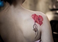 纹身罂粟花图片  气质女生背部罂粟花与英文纹身图案