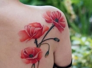 罂粟花纹身 侧腰性感的罂粟花纹身图案