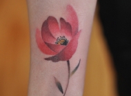 罂粟花纹身手臂图案 手臂罂粟花纹身图案