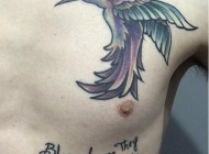 男性胸部蜂鸟纹身图案