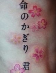 日本纹身图片：日本文字樱花纹身图案