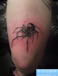 一张经典的黑灰蜘蛛纹身图片