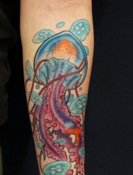 手臂流行精美的彩色水母纹身图片