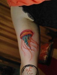 女人手臂内侧好看流行的水母纹身图片