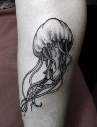 手臂流行唯美的黑白水母纹身图片
