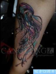 美女手臂精美流行的水母纹身图片