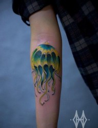 手臂精美流行的水母纹身图片