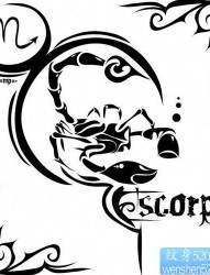 一张经典的图腾天蝎座纹身图片