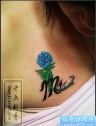 一张美女胸部彩色玫瑰花星座图标纹身图案