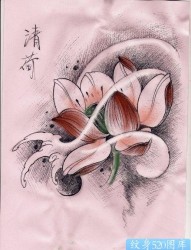一张清雅流行的莲花纹身图片