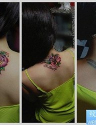 女人后背唯美的玫瑰花纹身图片