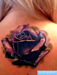 一张紫色漂亮玫瑰花纹身图片