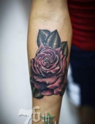 手臂精美流行的玫瑰花纹身图片