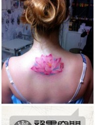 女人后背好看精美的粉色莲花纹身图片