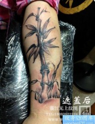 手臂流行唯美的黑白竹子纹身图片