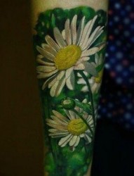 手臂流行唯美的彩色邹菊纹身图片
