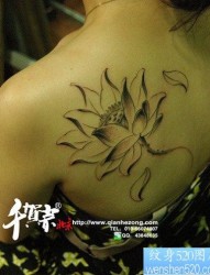 女人肩背流行漂亮的黑白莲花纹身图片