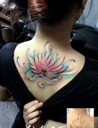 女人后背漂亮唯美的彩色莲花纹身图片