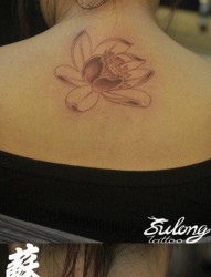 女人后背前卫简洁的莲花纹身图片