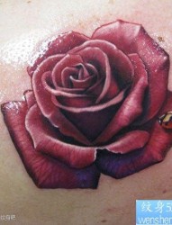 艳丽流行的彩色玫瑰花纹身图片