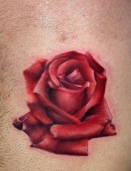 一张精美漂亮的彩色玫瑰花纹身图片