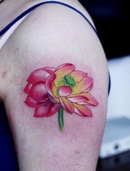 手臂流行唯美的彩色莲花纹身图片