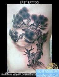 侧腰帅气流行的松树纹身图片