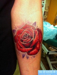 手臂漂亮的彩色玫瑰花纹身图片