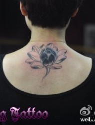 女人背部唯美经典的黑灰莲花纹身图片