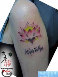 女人手臂流行漂亮的彩色莲花纹身图片