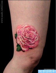 女性腿部漂亮的彩色玫瑰花纹身图片