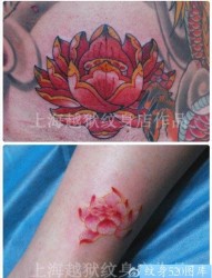 一组漂亮的彩色莲花纹身图片
