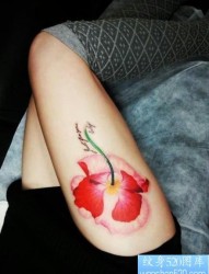 美女腿部漂亮的彩色罂粟花纹身图片