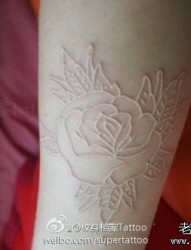 一张白色线条玫瑰花纹身图片