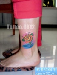 女孩子腿部时尚的欧美风格玫瑰花纹身图片