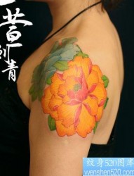 女人喜欢的彩色牡丹花纹身图片