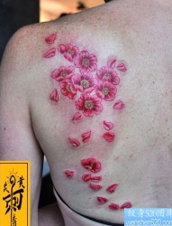 美女背部好看的彩色樱花纹身图片